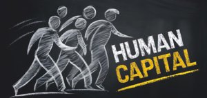 Read more about the article What Is Human Capital Meaning Examples and Management Strategies Explained Clearly
