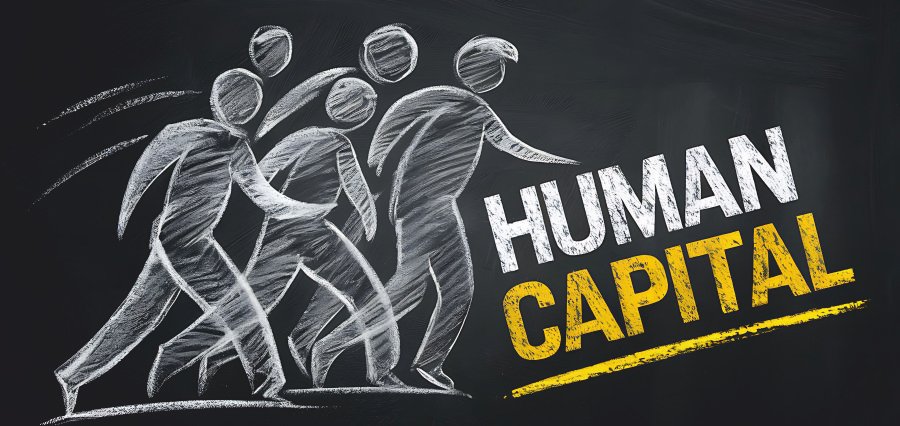 You are currently viewing What Is Human Capital Meaning Examples and Management Strategies Explained Clearly
